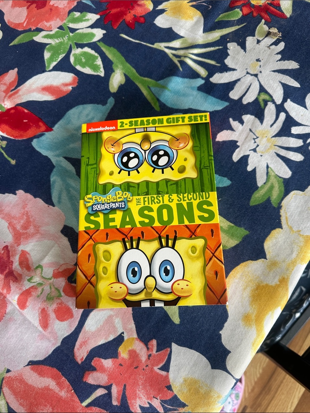 SpongeBob DVD Box Seasons 1&2